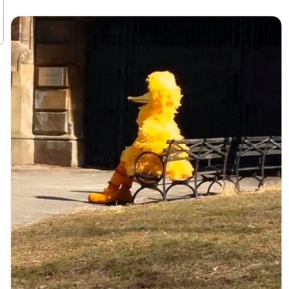 Meet your Posher, Jermell - Picture 1 of 1